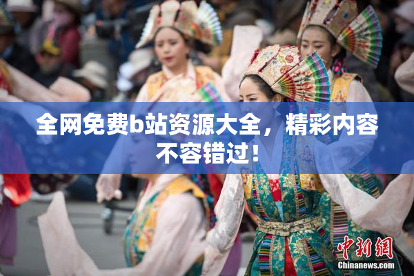 全网免费b站资源大全，精彩内容不容错过！