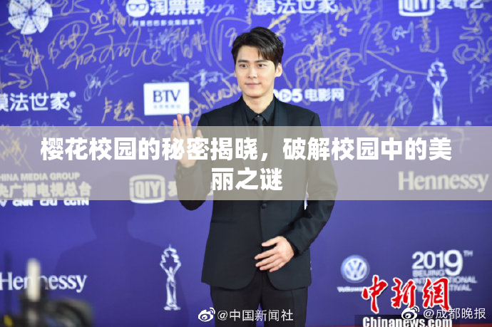 樱花校园的秘密揭晓，破解校园中的美丽之谜