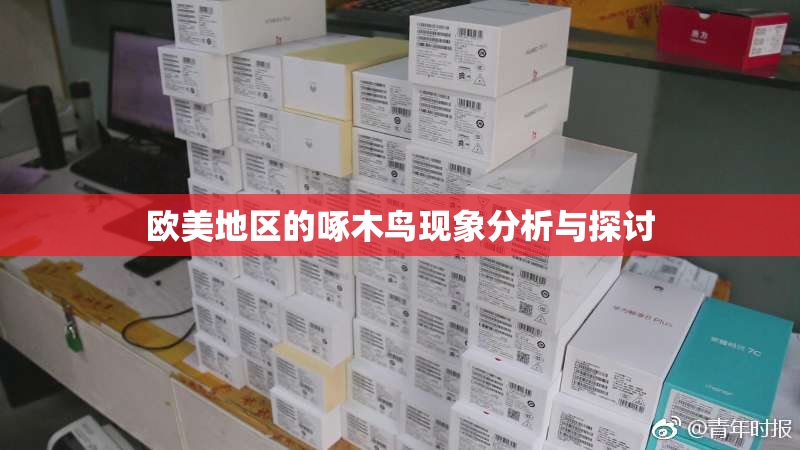 欧美地区的啄木鸟现象分析与探讨