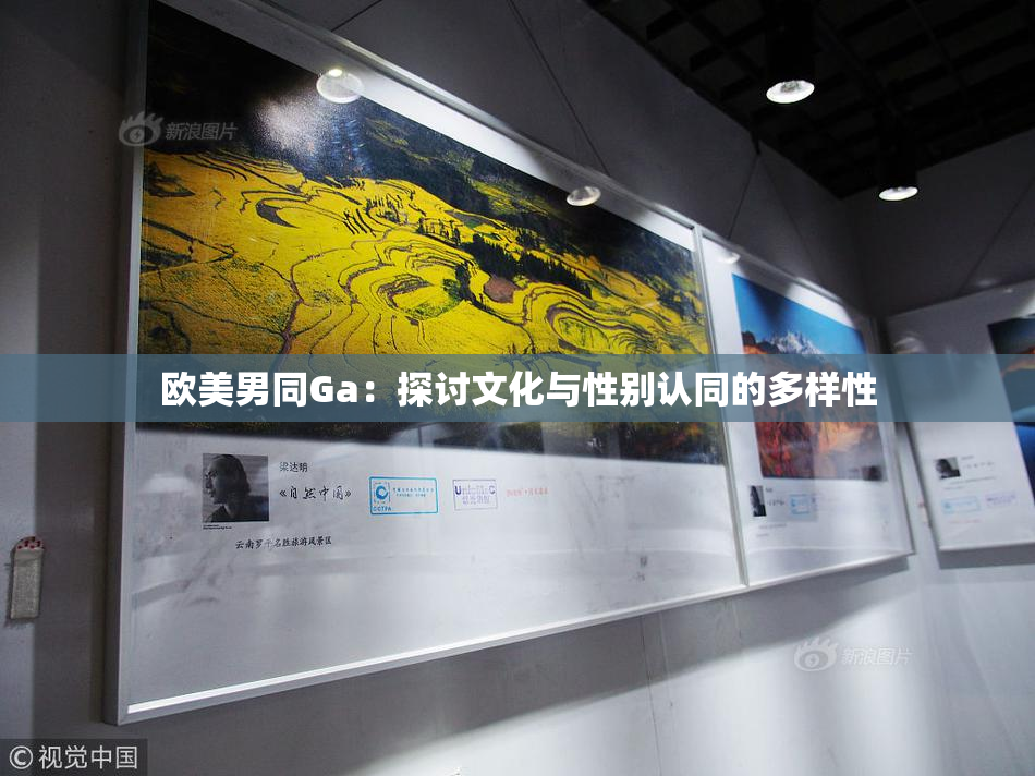 欧美男同Ga：探讨文化与性别认同的多样性