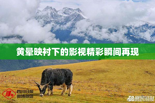 黄晕映衬下的影视精彩瞬间再现