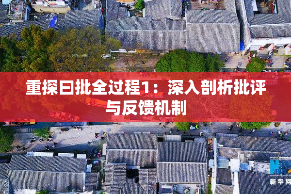 重探曰批全过程1：深入剖析批评与反馈机制