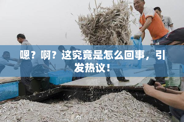 嗯？啊？这究竟是怎么回事，引发热议！