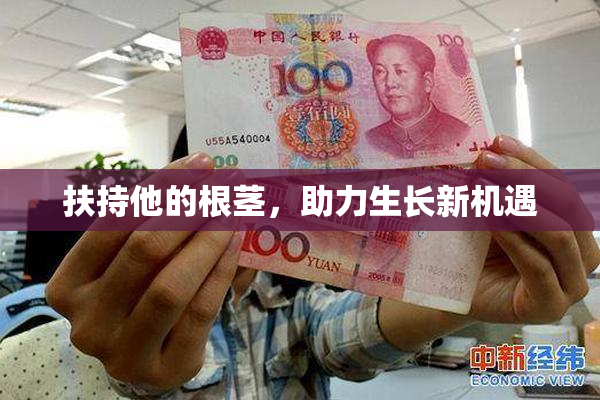 扶持他的根茎，助力生长新机遇