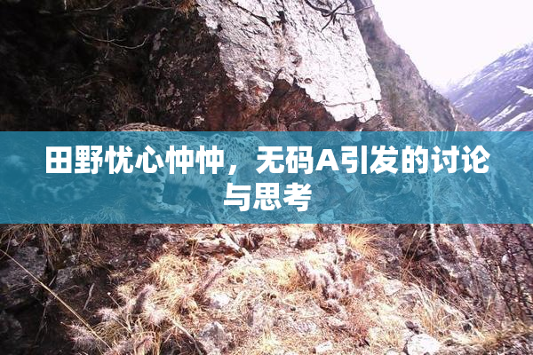 田野忧心忡忡，无码A引发的讨论与思考