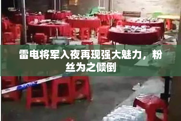 雷电将军入夜再现强大魅力，粉丝为之倾倒