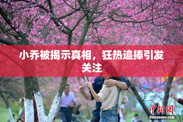 小乔被揭示真相，狂热追捧引发关注