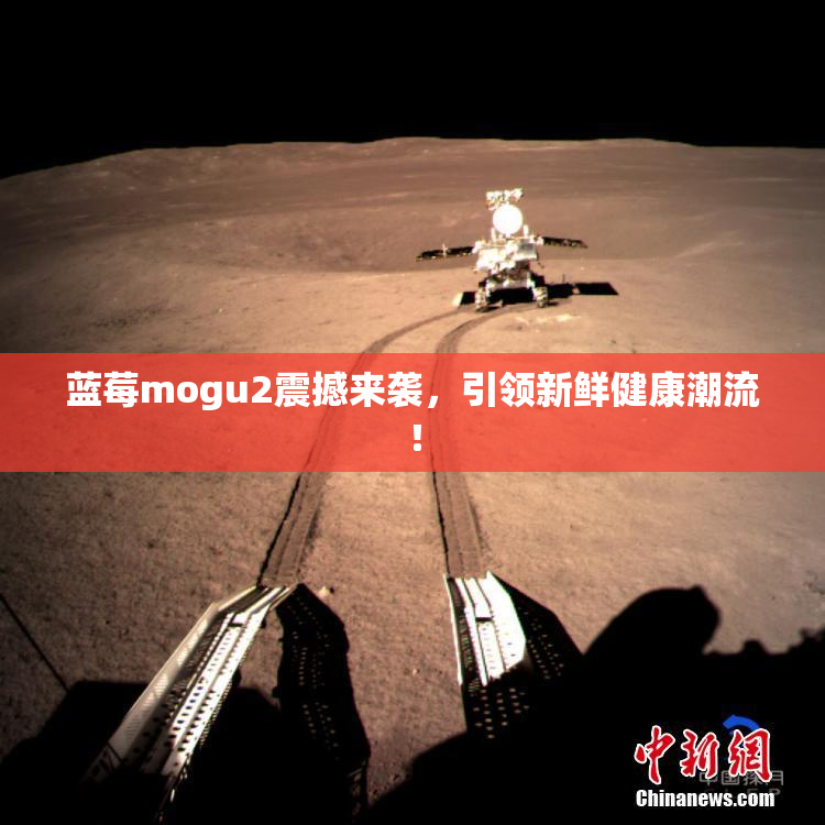 蓝莓mogu2震撼来袭，引领新鲜健康潮流！