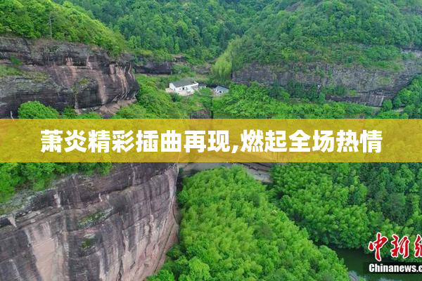 萧炎精彩插曲再现,燃起全场热情