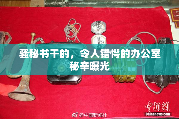 骚秘书干的，令人错愕的办公室秘辛曝光