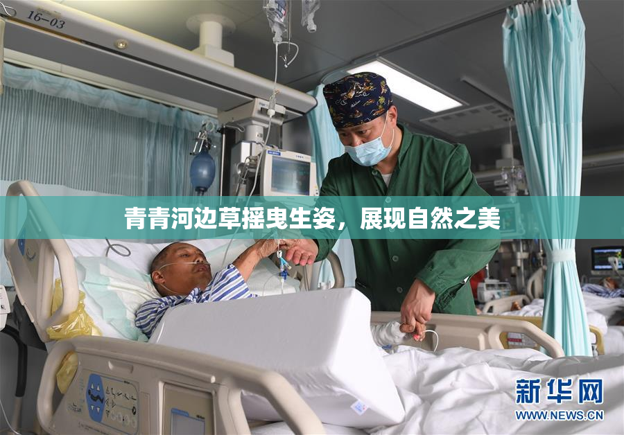 青青河边草摇曳生姿，展现自然之美