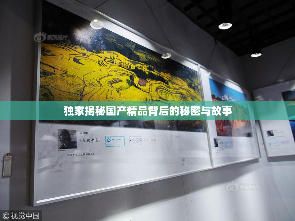 独家揭秘国产精品背后的秘密与故事