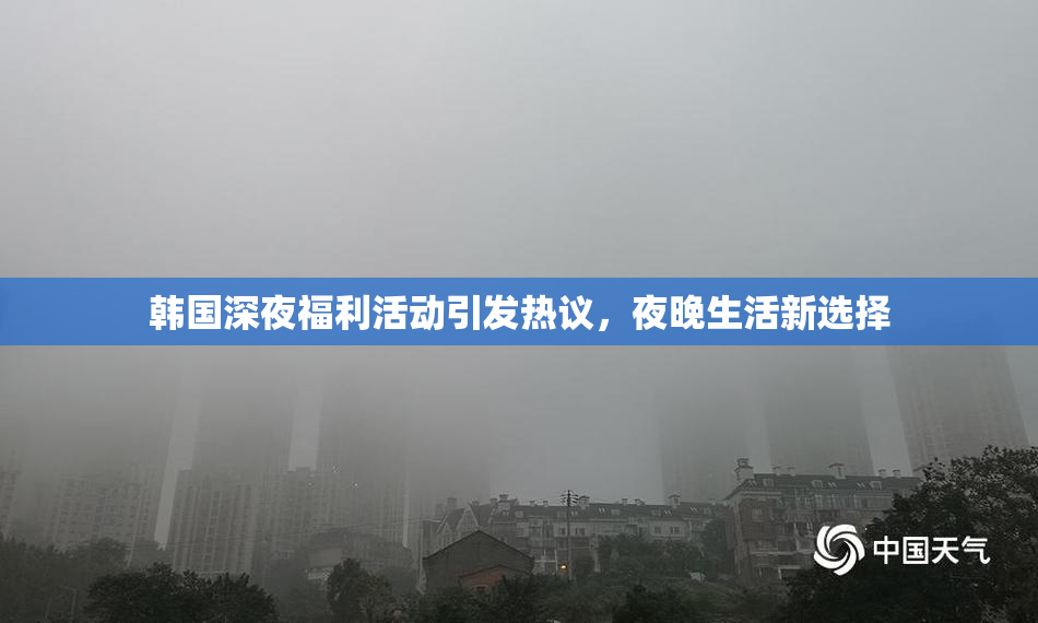 韩国深夜福利活动引发热议，夜晚生活新选择