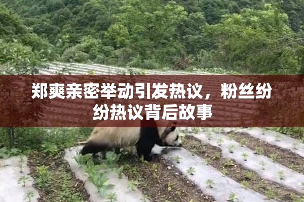 郑爽亲密举动引发热议，粉丝纷纷热议背后故事