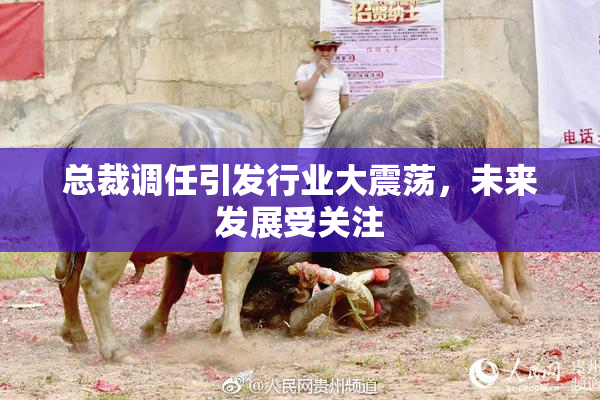 总裁调任引发行业大震荡，未来发展受关注