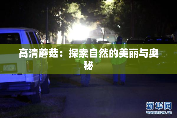 高清蘑菇：探索自然的美丽与奥秘