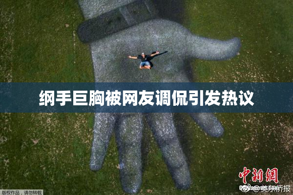 纲手巨胸被网友调侃引发热议