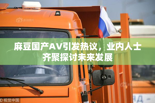 麻豆国产AV引发热议，业内人士齐聚探讨未来发展