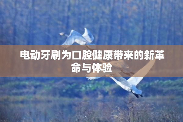 电动牙刷为口腔健康带来的新革命与体验