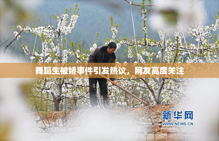 舞蹈生被娇事件引发热议，网友高度关注