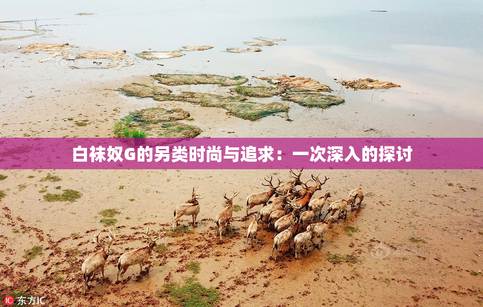 白袜奴G的另类时尚与追求：一次深入的探讨