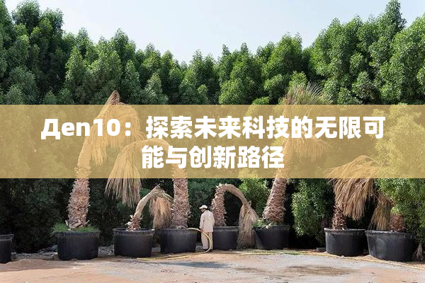 Дen10：探索未来科技的无限可能与创新路径