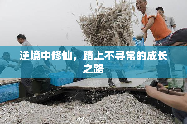 逆境中修仙，踏上不寻常的成长之路