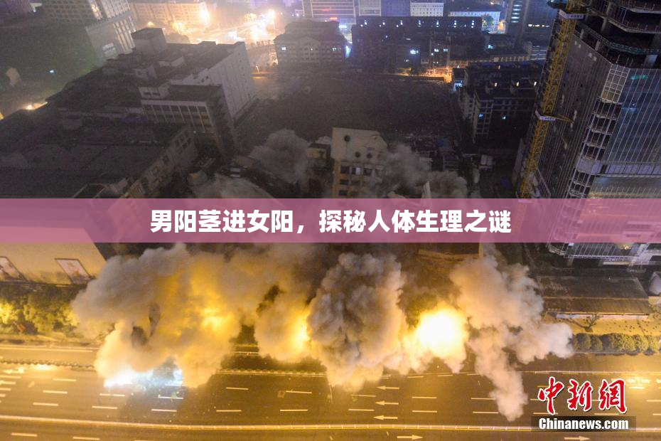男阳茎进女阳，探秘人体生理之谜