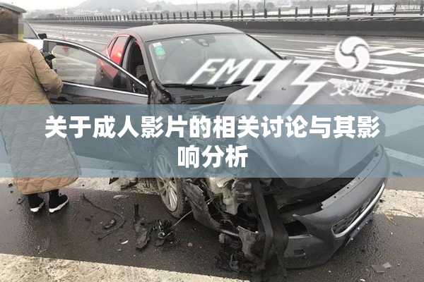 关于成人影片的相关讨论与其影响分析