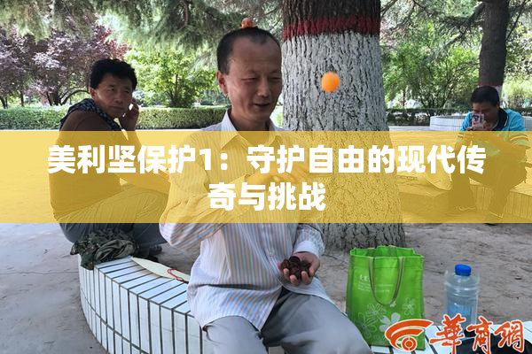 美利坚保护1：守护自由的现代传奇与挑战
