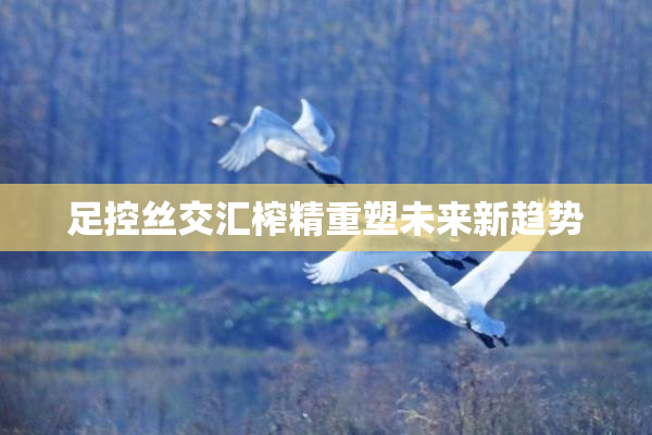 足控丝交汇榨精重塑未来新趋势