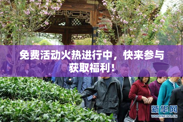 免费活动火热进行中，快来参与获取福利！