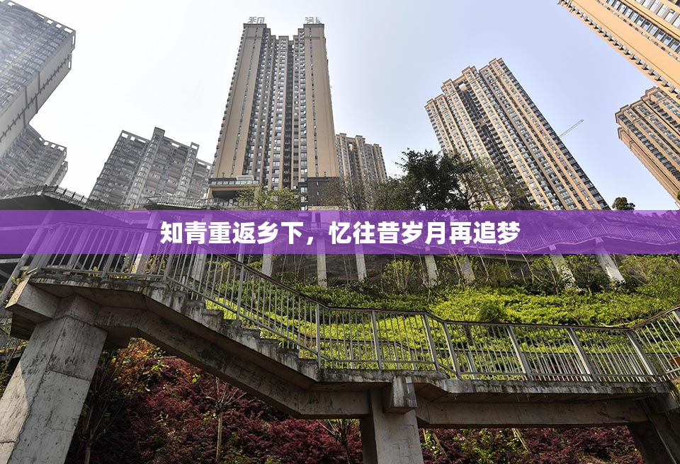 知青重返乡下，忆往昔岁月再追梦