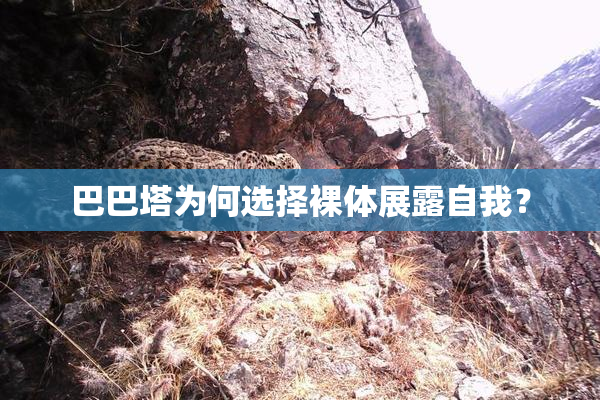 巴巴塔为何选择裸体展露自我？