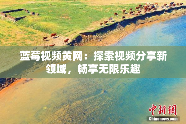 蓝莓视频黄网：探索视频分享新领域，畅享无限乐趣