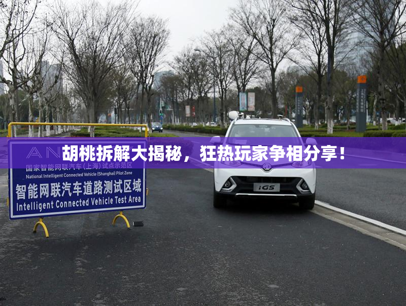 胡桃拆解大揭秘，狂热玩家争相分享！
