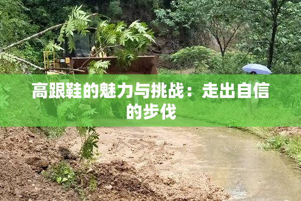 高跟鞋的魅力与挑战：走出自信的步伐