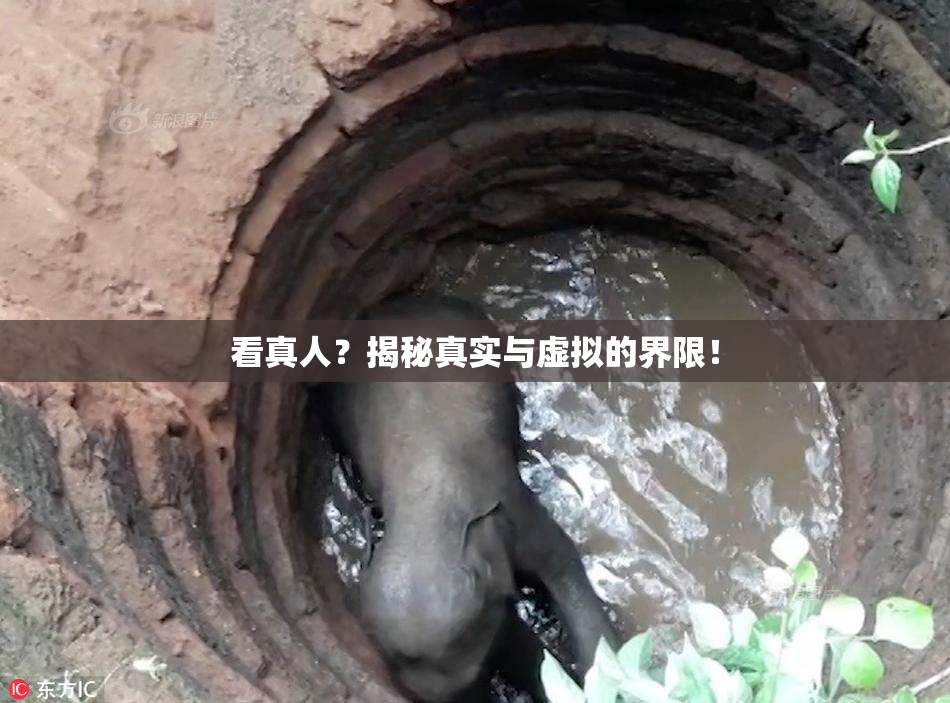 看真人？揭秘真实与虚拟的界限！