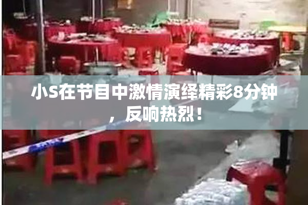 小S在节目中激情演绎精彩8分钟，反响热烈！