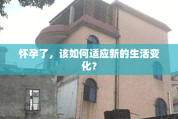 怀孕了，该如何适应新的生活变化？