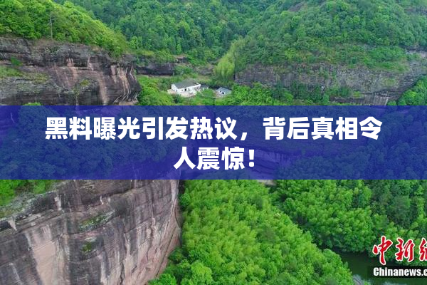 黑料曝光引发热议，背后真相令人震惊！