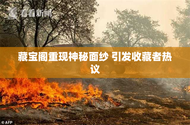 藏宝阁重现神秘面纱 引发收藏者热议
