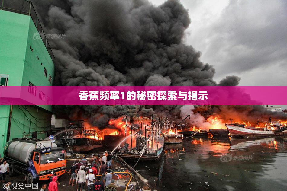 香蕉频率1的秘密探索与揭示
