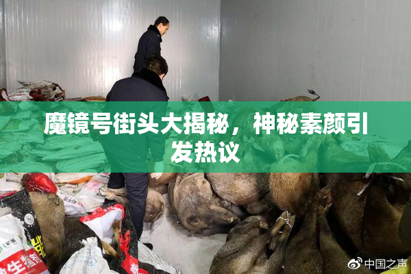 魔镜号街头大揭秘，神秘素颜引发热议