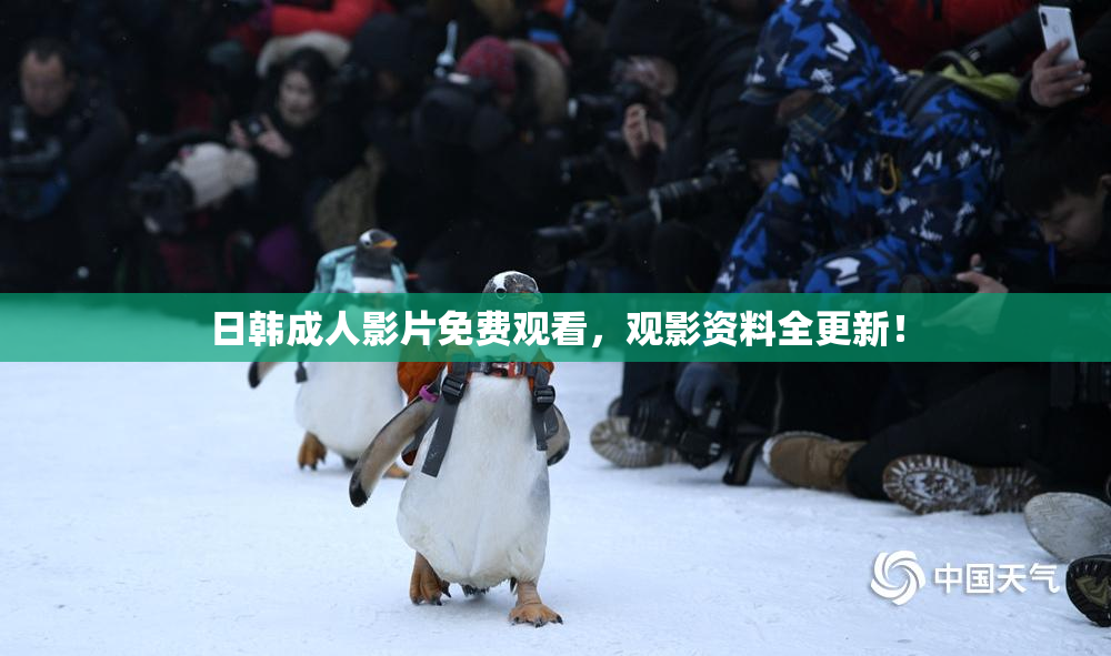 日韩成人影片免费观看，观影资料全更新！