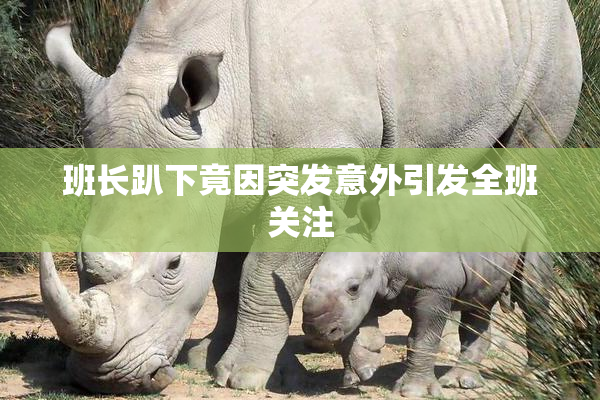 班长趴下竟因突发意外引发全班关注