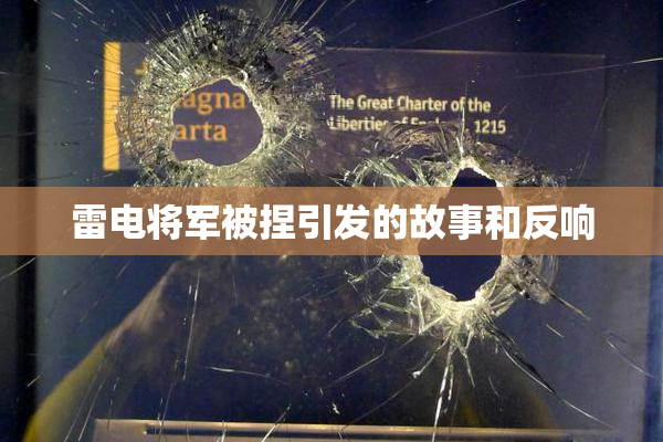 雷电将军被捏引发的故事和反响