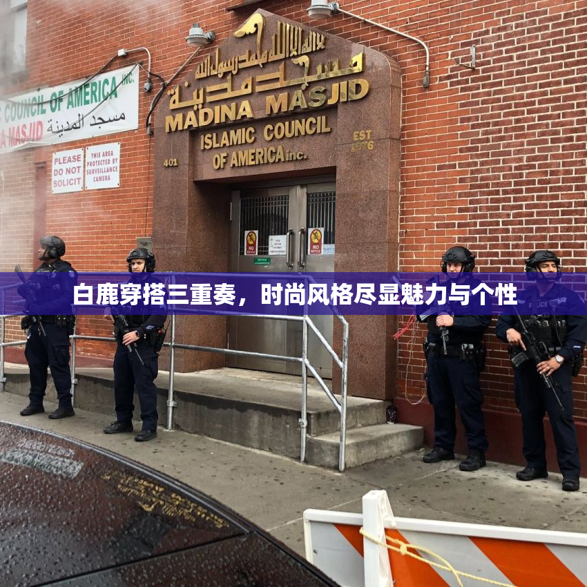 白鹿穿搭三重奏，时尚风格尽显魅力与个性