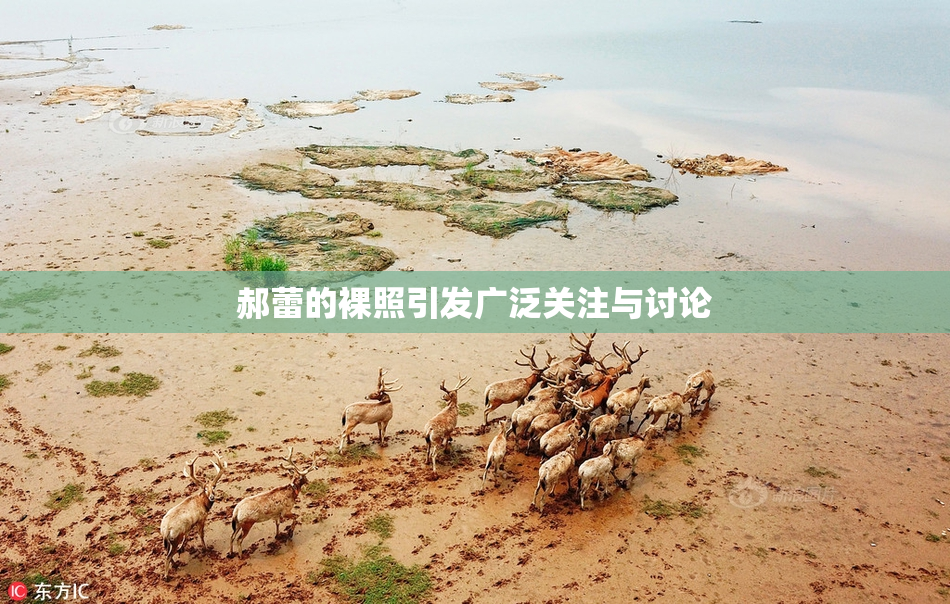 郝蕾的裸照引发广泛关注与讨论