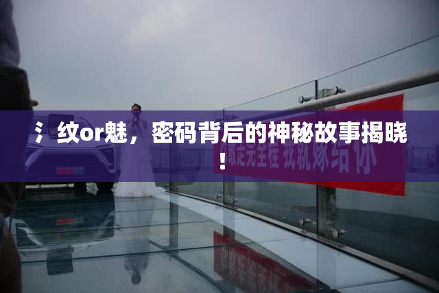 氵纹or魅，密码背后的神秘故事揭晓！